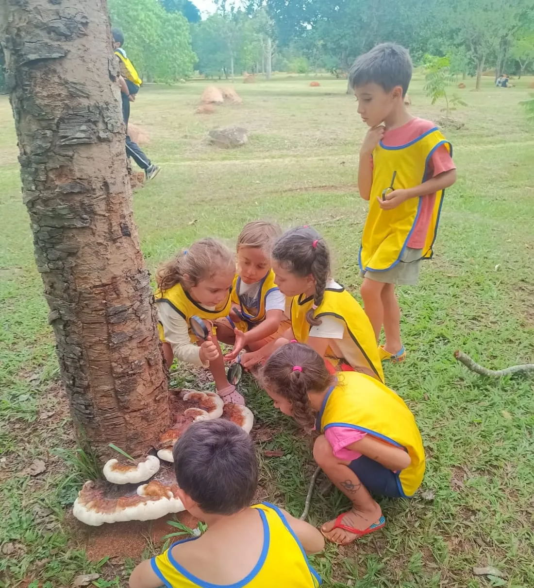 Crianças do Oásis explorando o tronco de uma árvore